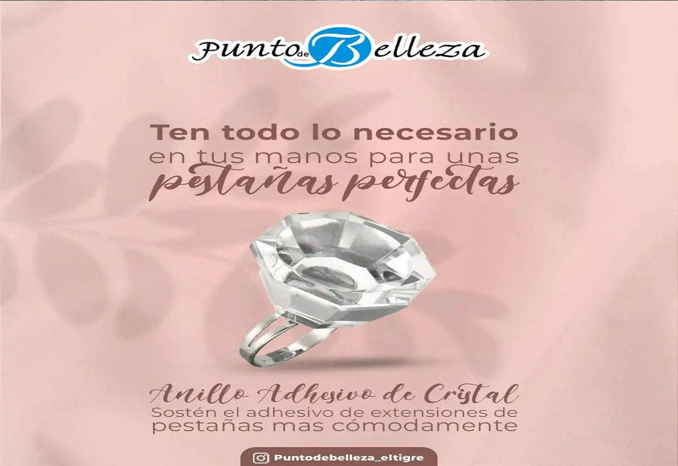 Punto de la belleza